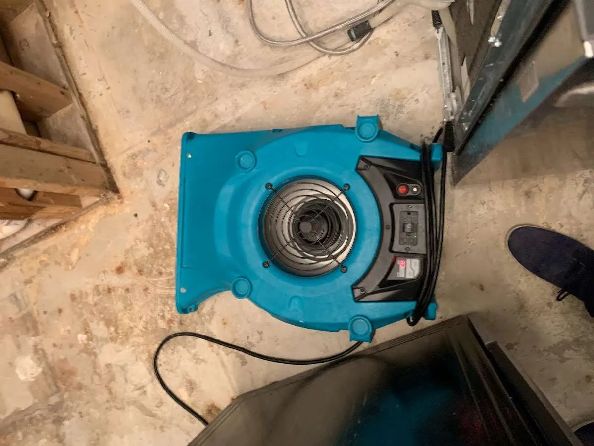 Air mover drying equipment for Mold Remediation & Removal in Beaumont